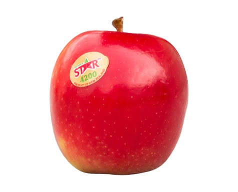 Premier Star - Apple